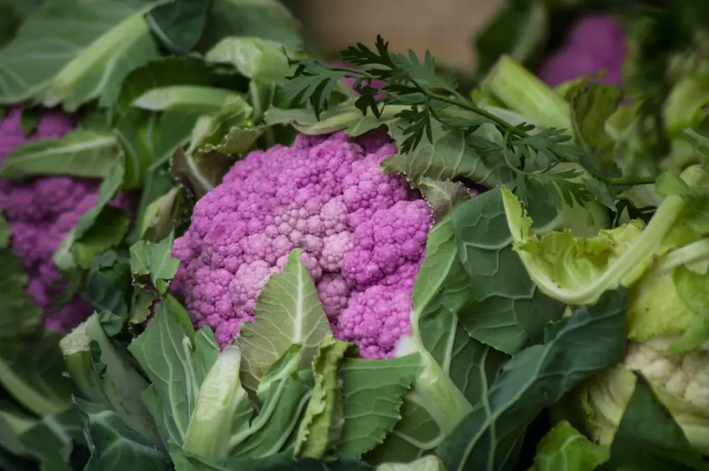 Depurple Hybrid Cauliflower