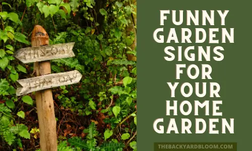 Funny Garden Signs for Your Home Garden