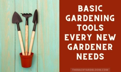 Basic Gardening Tools Every New Gardener Needs