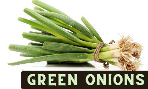 Regrow Green Onions From Scraps