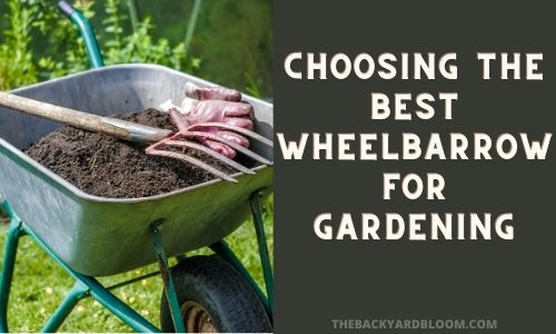 Choosing The Best Wheelbarrow for Gardening