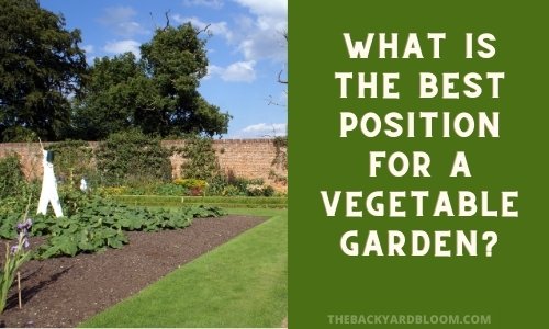 What Is The Best Position For A Vegetable Garden?