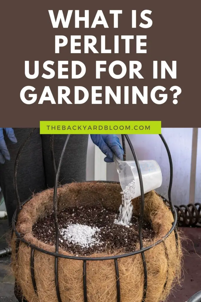 What Is Perlite Used For In The Garden?