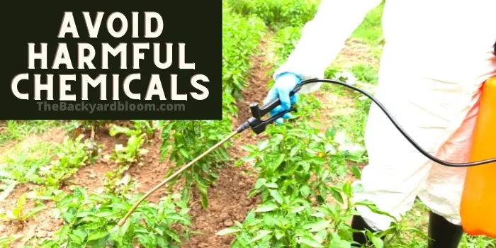 Avoid Harmful Chemicals in the Garden