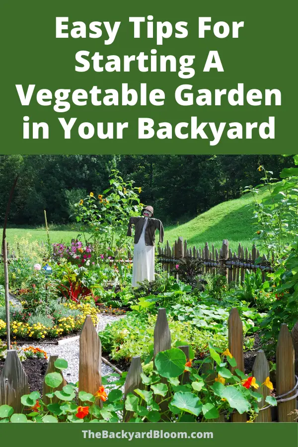 Easy Tips For Starting A Vegetable Garden in Your Backyard