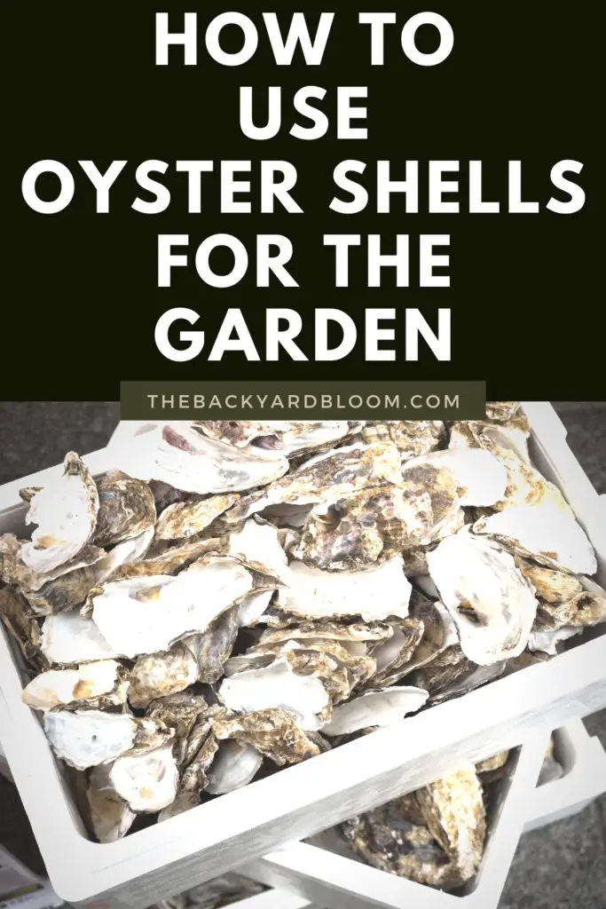 How To Use Oyster Shells For The Garden