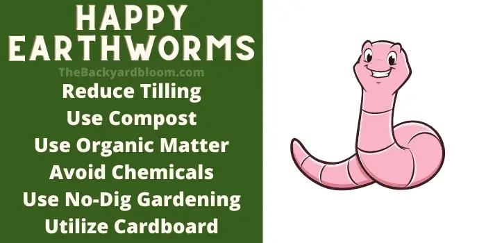 Increase Earthworms In Your Garden