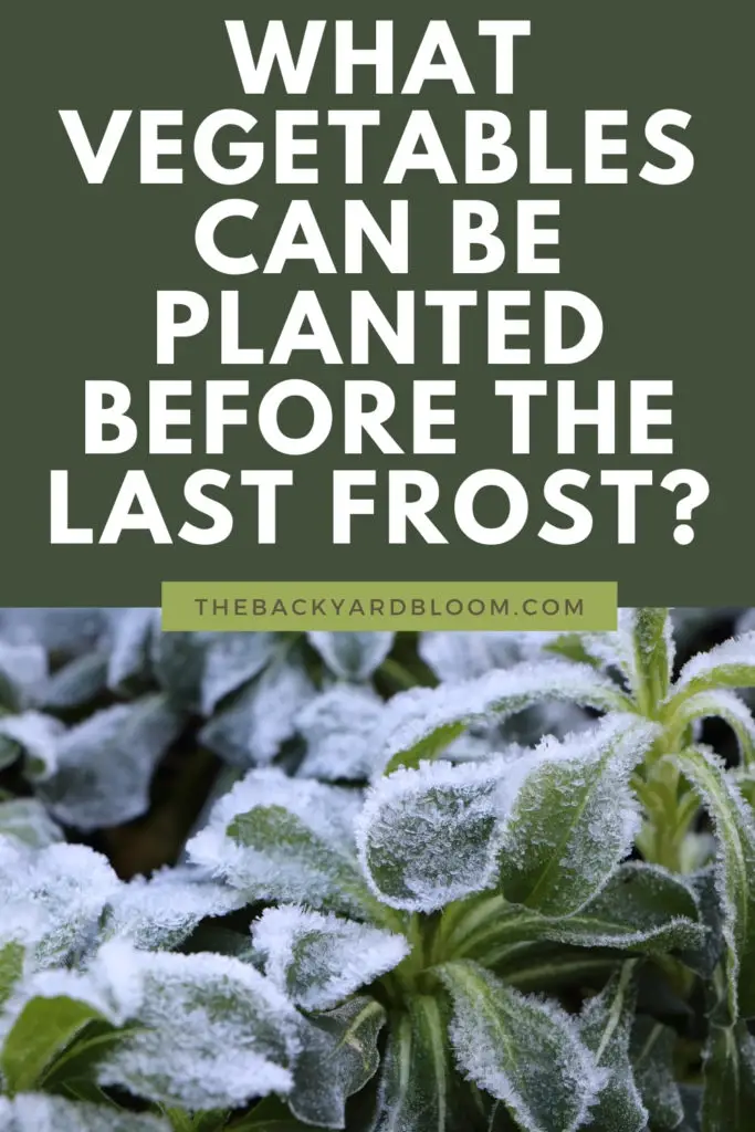 What vegetables can be planted before the last frost?
