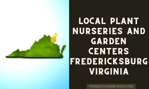 Local Plant Nurseries Fredericksburg Virginia