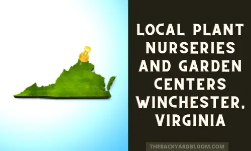 Plant Nurseries and Garden Centers in and Near Winchester, Virginia