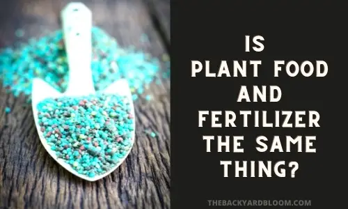 Is Plant Food And Fertilizer The Same Thing