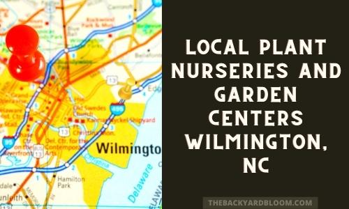 Local Plant Nurseries and Garden Centers, Wilmington, NC