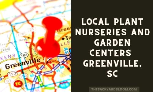 Local garden centers greenville sc