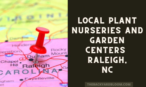 Plant Nurseries and Garden Centers Raleigh