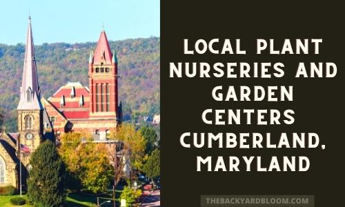 Local Plant nurseries and garden centers Cumberland Maryland