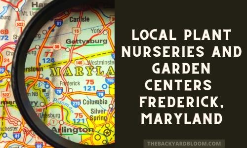 nurseries and garden centers Frederick Maryland