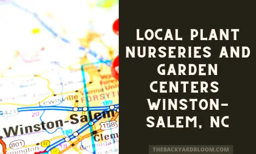 Local plant nurseries and garden centers Winston Salem