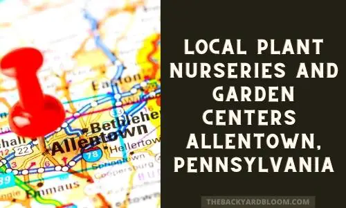 Local Garden Centers and Plant Nurseries Allentown Pennsylvania