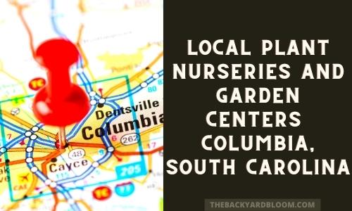 Local Garden Centers Columbia South Carolina