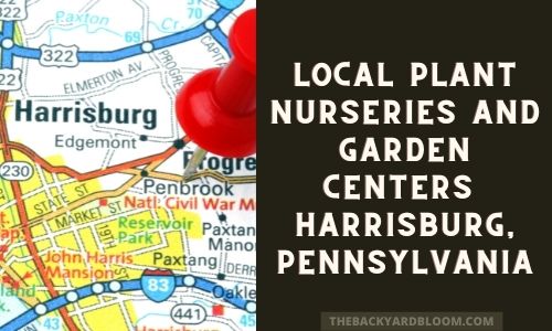 Local Garden Centers Harrisburg Pennsylvania
