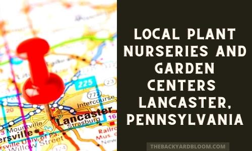 Local Garden Centers Lancaster Pennsylvania