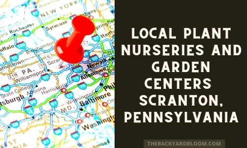 Local Garden Centers and Local Plant Nurseries in and near Scranton Pennsylvania