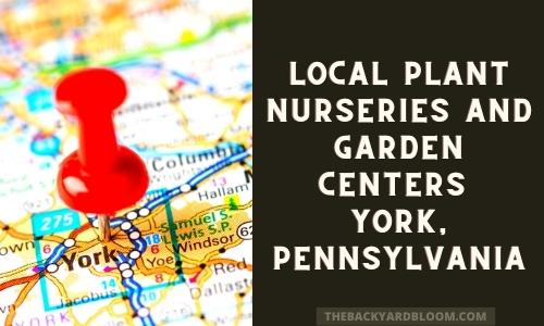 Local Garden Centers York Pennsylvania
