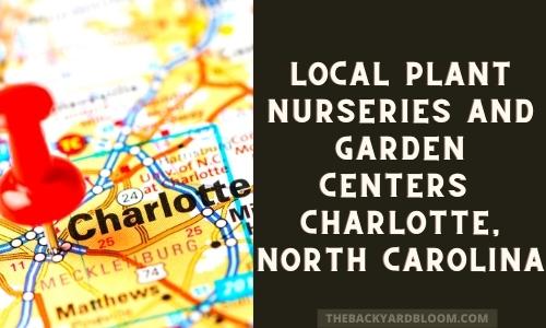 Local Plant Nurseries and Garden Centers Near Charlotte North Carolina